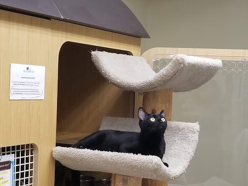 Pet Supply Store «Petco Animal Supplies», reviews and photos, 806 Sunrise Hwy, Baldwin, NY 11510, USA