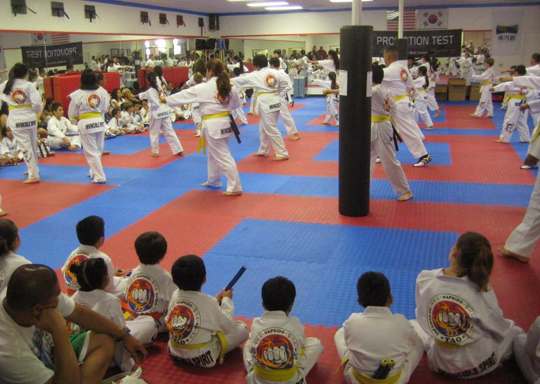 TAO Martial Arts Black Belt Center (CM)