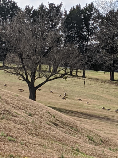 Golf Course «Bur-Mil Park Golf Course», reviews and photos, 5834 Bur-Mill Club Rd, Greensboro, NC 27410, USA