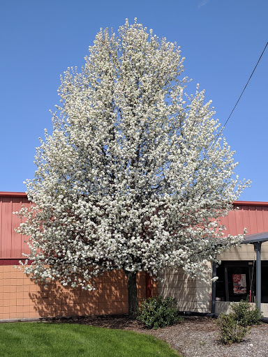 Bowling Alley «Bel-Mark Lanes», reviews and photos, 3530 Jackson Rd, Ann Arbor, MI 48103, USA