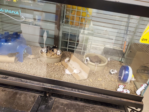 Pet Store «Pet World Warehouse Outlet», reviews and photos, 2984 S 108th St, Milwaukee, WI 53227, USA