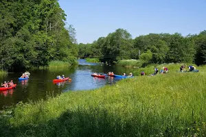 Kayak Rentals - Camping - Plaukiam.com image