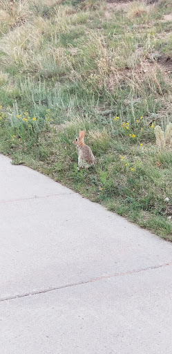 Park «Rudy Park», reviews and photos, 5360 Cracker Barrel Cir, Colorado Springs, CO 80917, USA