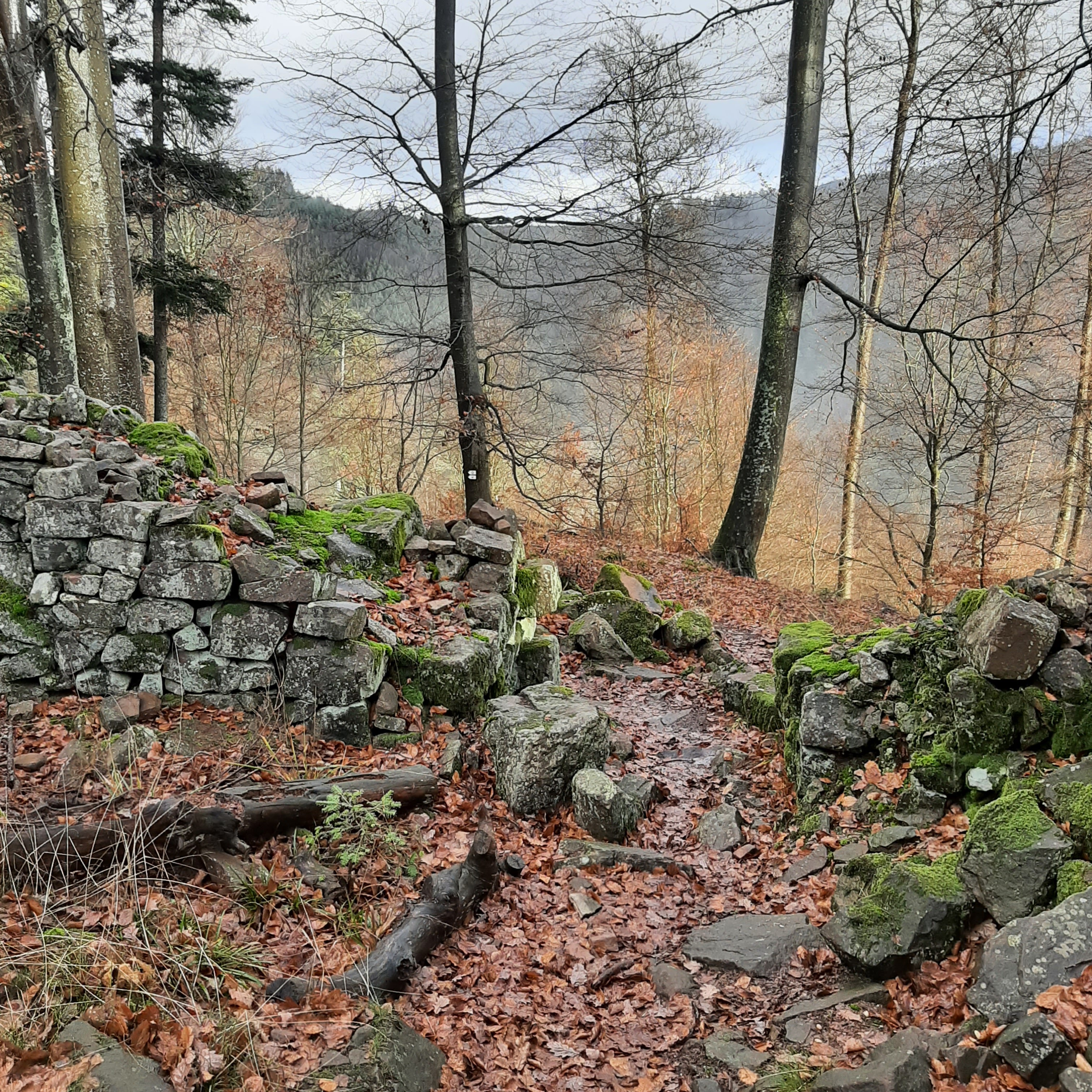 Photo n° 2 de l'avis de Hermeticum.u fait le 16/01/2023 à 08:00