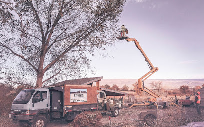 Paonia Tree Services