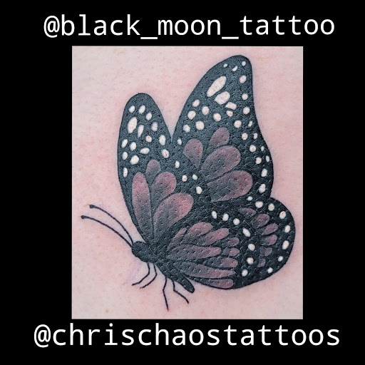 Explore llama tattoo ideas, creative tattoo ideas in Copperas Cove, available at Black Moon Tattoo Company