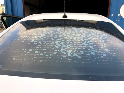 Window Tinting Service «Turners Car Shampoo», reviews and photos, 2701 Postoffice St, Galveston, TX 77550, USA