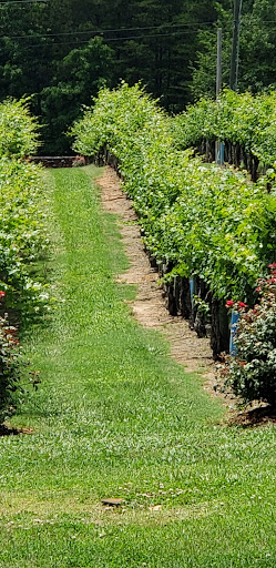 Winery «Overmountain Vineyards», reviews and photos, 2014 Sandy Plains Rd, Tryon, NC 28782, USA