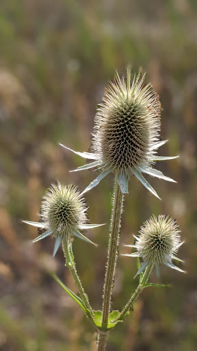 Park «James a Bible Park», reviews and photos, 6802 E Yale Ave, Denver, CO 80224, USA