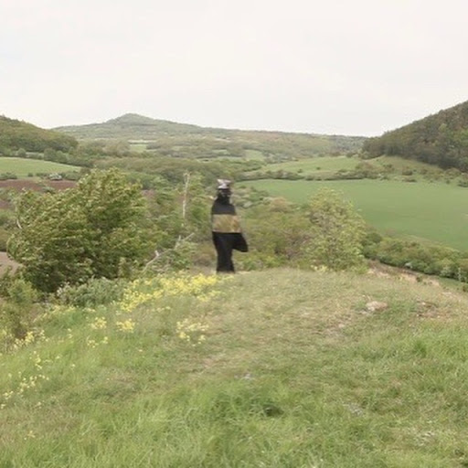 Art Museum «Museum of Contemporary Art - North Miami», reviews and photos, 770 NE 125th St, North Miami, FL 33161, USA