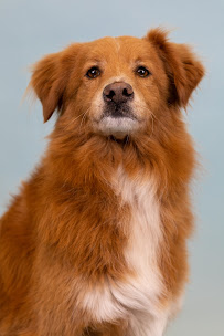 Lantz Family Insurance Agency, Inc. - Photo 4 - Car repair in Dartmouth, MA, New Bedford