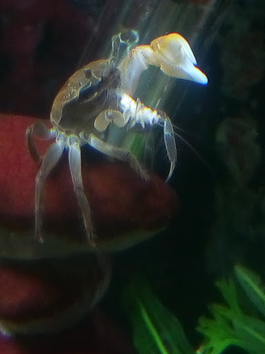 Pet Store «Red Hill Pet Center», reviews and photos, 1566 4th St, San Rafael, CA 94901, USA