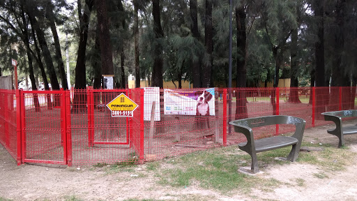 Parque para perros Altamira