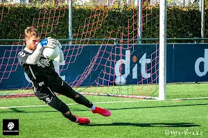The Dutch Goalkeepers Academy image