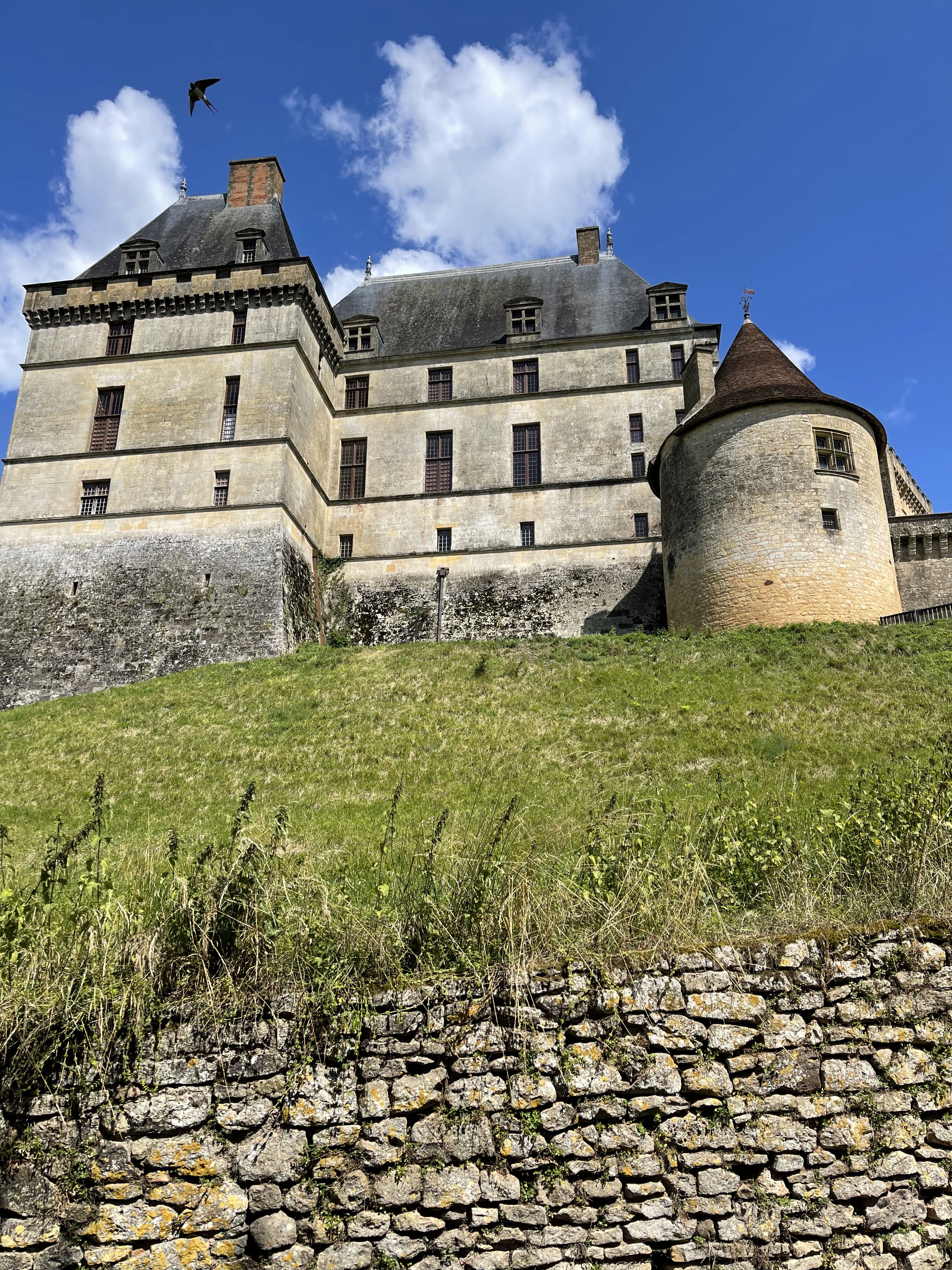 Photo n° 2 de l'avis de Bérangère.e fait le 09/07/2022 à 19:21