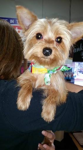 Pet Supply Store «Pets Choice», reviews and photos, 454 Daniel Webster Hwy, Merrimack, NH 03054, USA