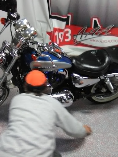 Auto Auction «Akron Auto Auction», reviews and photos, 2471 Ley Dr, Akron, OH 44319, USA