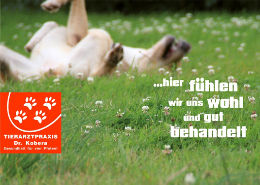 Tierarztpraxis Dr. med. Vet. Ralph Kobera unter Dresden, 