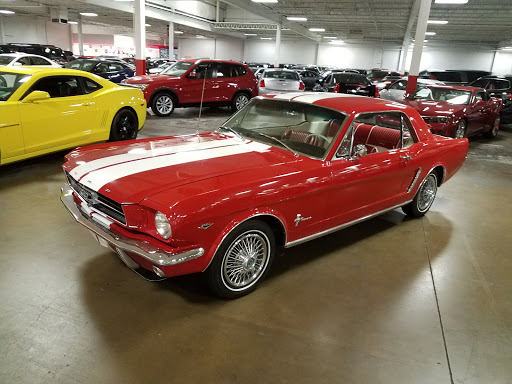 Used Car Dealer «PM Standley Motorcars», reviews and photos, 1835 Forms Dr #120, Carrollton, TX 75006, USA