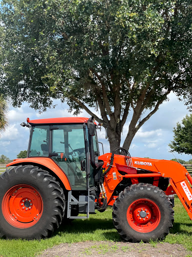 Used Car Dealer «Bird Road Auto Sales», reviews and photos, 7339 SW 45th St, Miami, FL 33155, USA