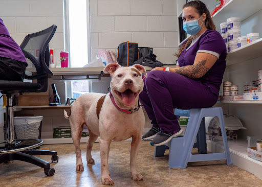 Plaza Veterinary Hospital image