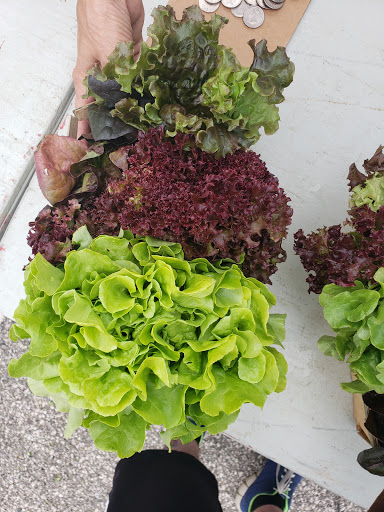 Supermarket «Mt Clemens farmers Market», reviews and photos, 135 N River Rd, Mt Clemens, MI 48043, USA