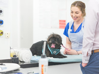 Robson & Prescott Veterinary Practice