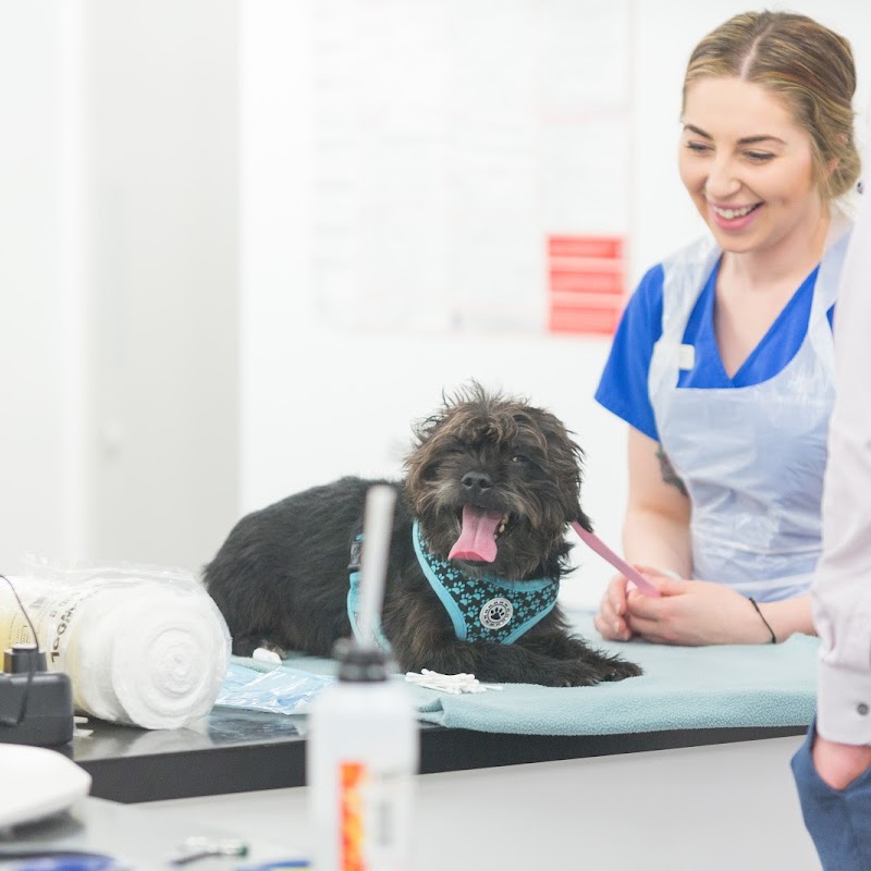 Robson & Prescott Veterinary Practice