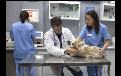 Centro Veterinario Victor de La Serna - Dres. Alvarez de La Villa en Madrid