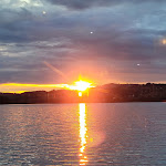 Photo n° 3 de l'avis de Teresa.o fait le 29/08/2023 à 20:37 pour Plage d'Aiguebelette-le-Lac à Aiguebelette-le-Lac