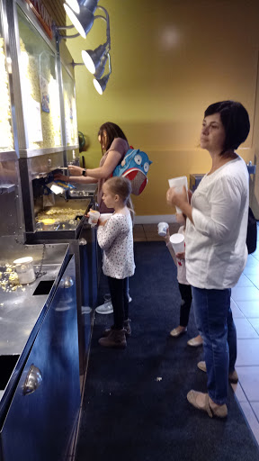 Movie Theater «M-89 Cinema», reviews and photos, 392 Cross Oaks Dr, Plainwell, MI 49080, USA