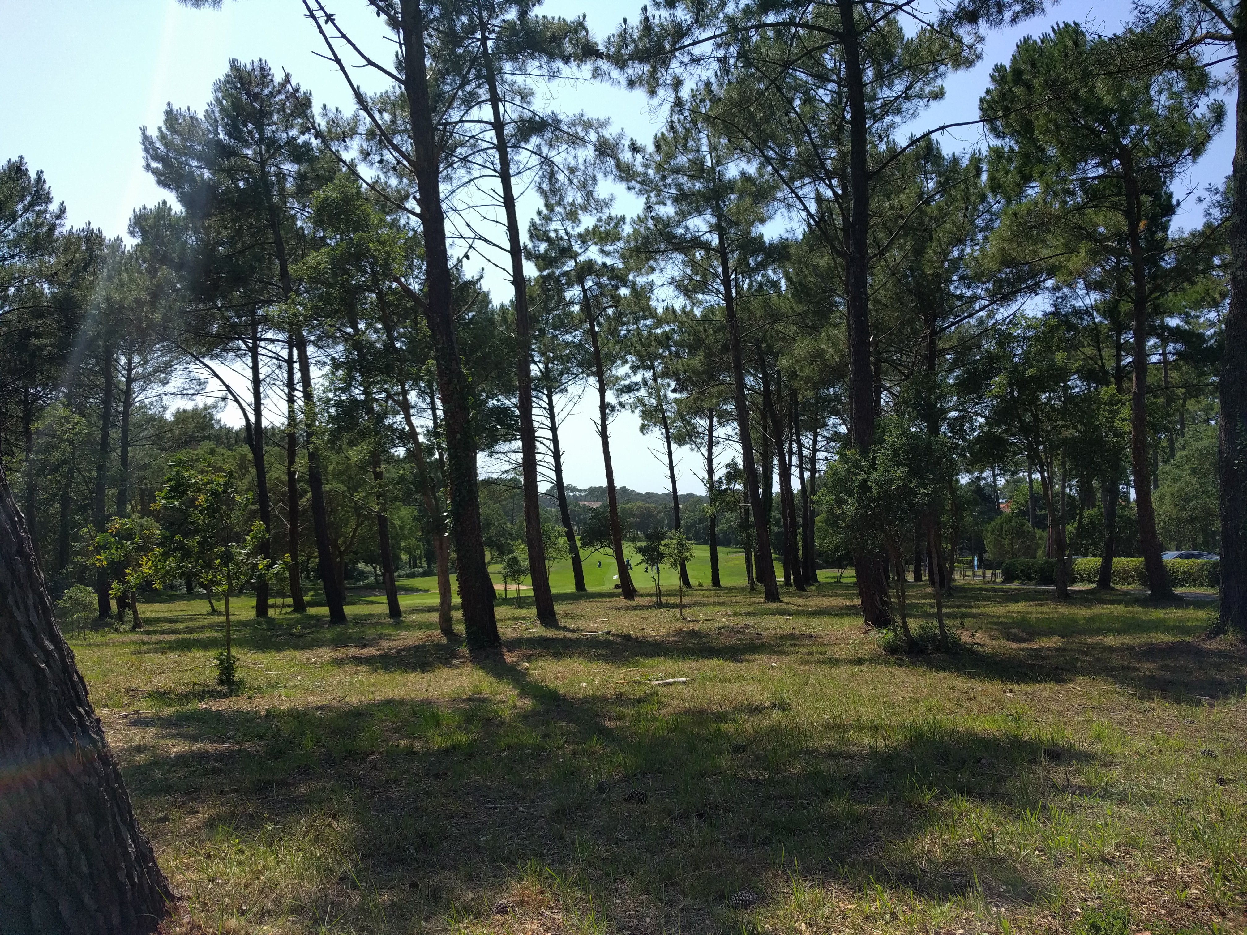 Photo n° 3 de l'avis de William. fait le 12/06/2017 à 14:20