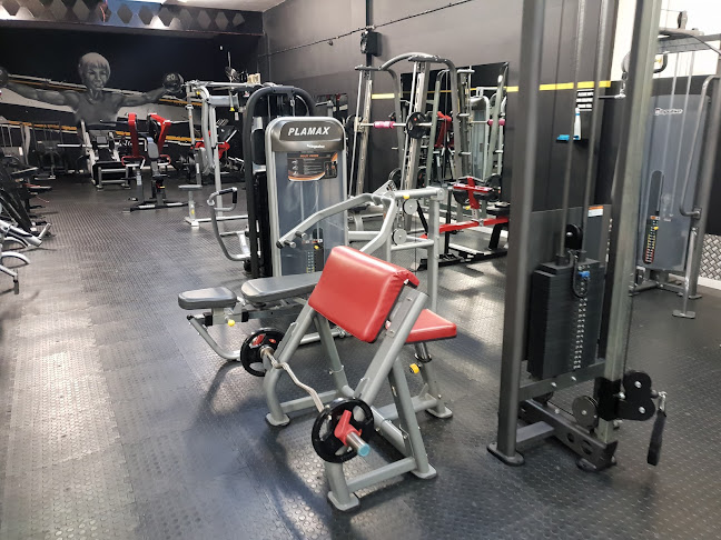 Comments and reviews of Train 2 Gain Gym