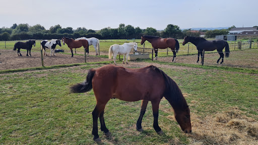 Queniborough Equestrian Centre