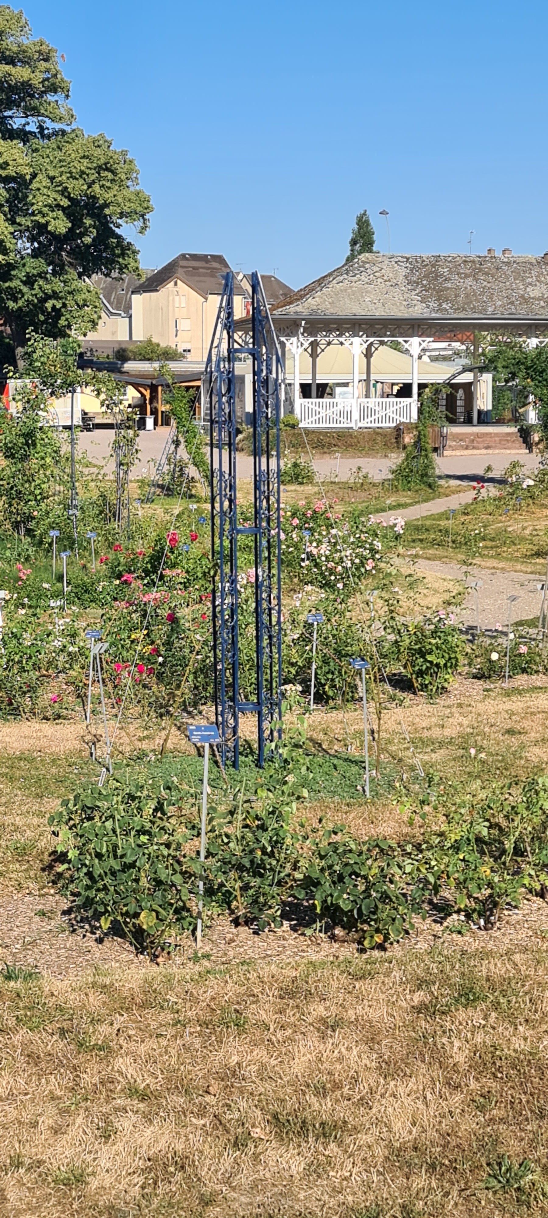 Photo n° 10 de l'avis de Pascal.a fait le 12/08/2022 à 22:11