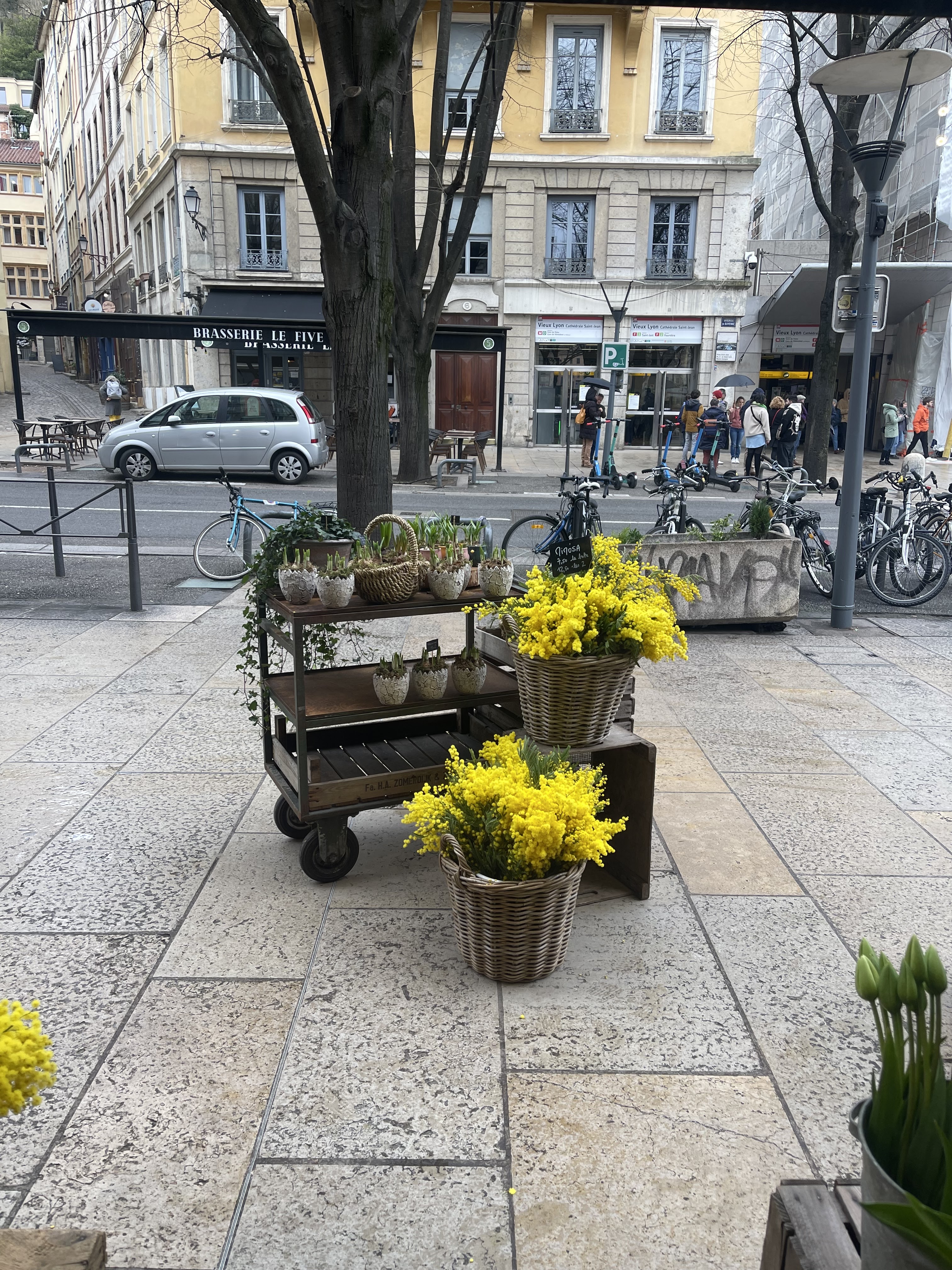 Photo n° 6 de l'avis de Bateman. fait le 01/12/2022 à 11:03