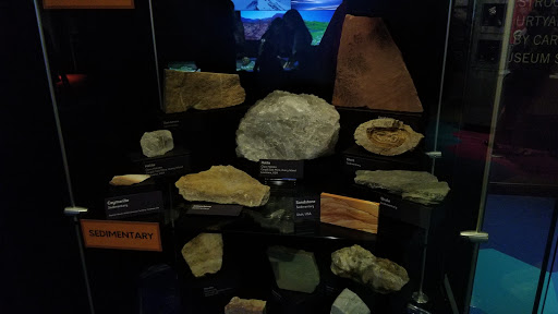 Science Museum «Cook Museum of Natural Science», reviews and photos, 133 4th Ave NE, Decatur, AL 35601, USA