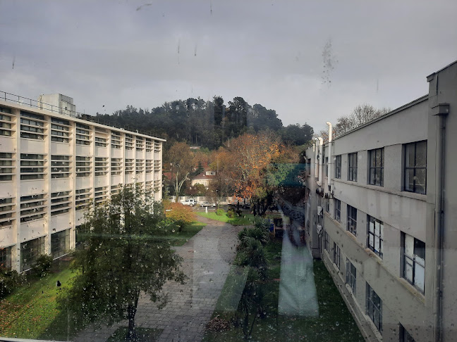Facultad de Ciencias Químicas de la Universidad de Concepción