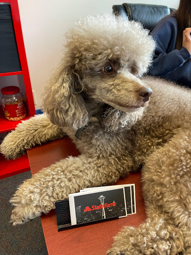 Insurance Agency «Chris Jones - State Farm Insurance Agent», reviews and photos