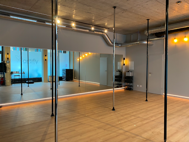 Artifly Pole Dance Studio