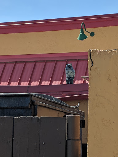 Shopping Mall «Tower Shopping Center», reviews and photos, 3685 New Bern Ave, Raleigh, NC 27610, USA