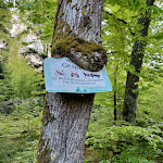 Photo n°6 de l'avis de Dirk.t fait le 08/05/2022 à 06:43 sur le  Restaurant am Weingarten à Gärtringen