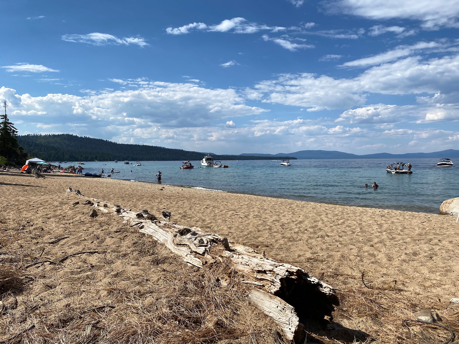 Foto di Calawee Cove Beach - luogo popolare tra gli intenditori del relax