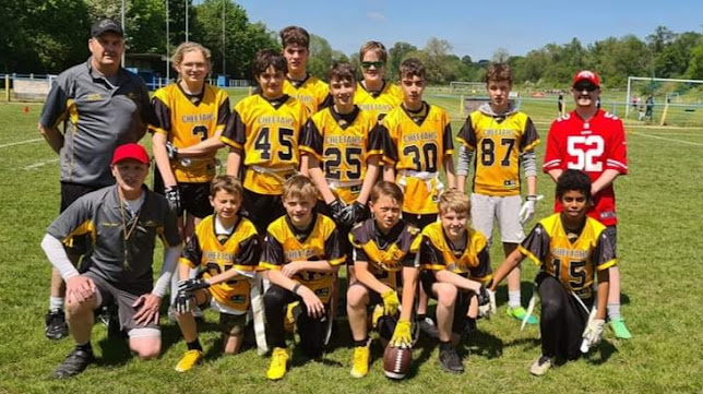 Comments and reviews of Hertfordshire Cheetahs Flag American Football