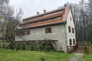 Mill Museum image
