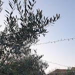 Photo n°1 de l'avis de Chiara.i fait le 27/08/2019 à 19:13 sur le  L'Orto Del Casale - à Casal Thaulero