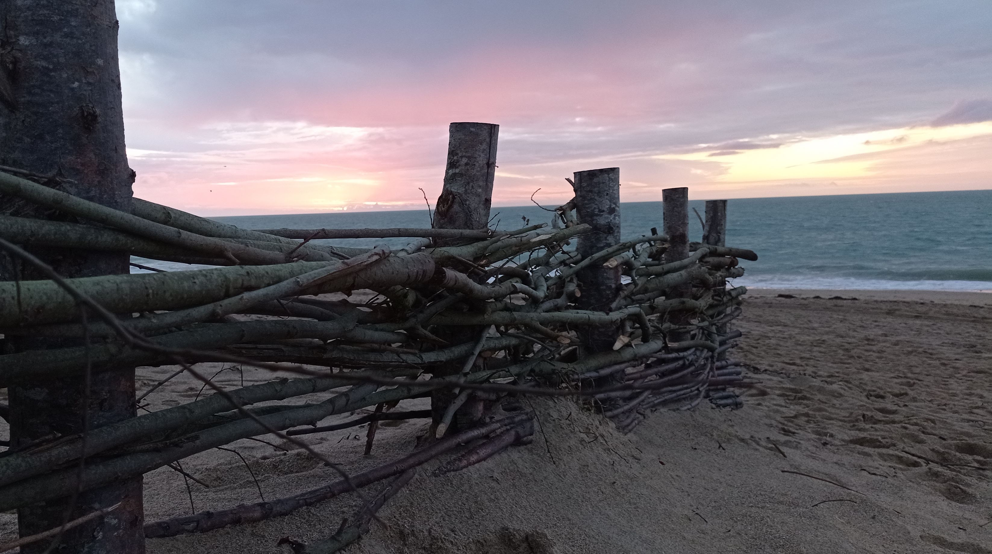 Photo n° 1 de l'avis de Denis.a fait le 24/01/2022 à 16:09