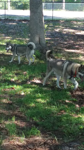 Dog Park «Zollie Young Dog Park», reviews and photos, 3829 E 43rd St, Panama City, FL 32404, USA