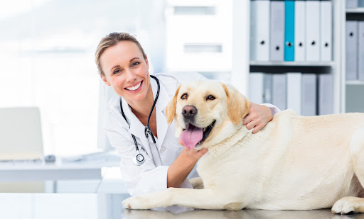 PetSmart Veterinary Services - Houma image
