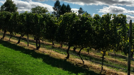 Winery «Laurel Lake Vineyards», reviews and photos, 3165 Main Rd, Laurel, NY 11948, USA